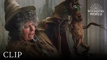 Which Harry Potter movie has Mandrakes?