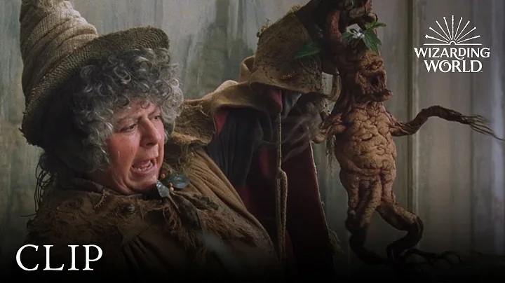 Mandrake Potting | Harry Potter and the Chamber of...