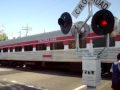 Tacoma Rail NW Trek train at D street w/ Griswold signals