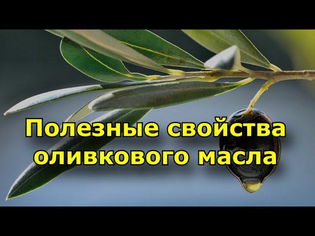 Полезные свойства оливкового масла. Очистка крови и т.д.