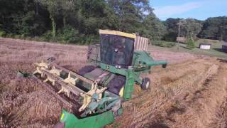 Wheat Harvest 2016