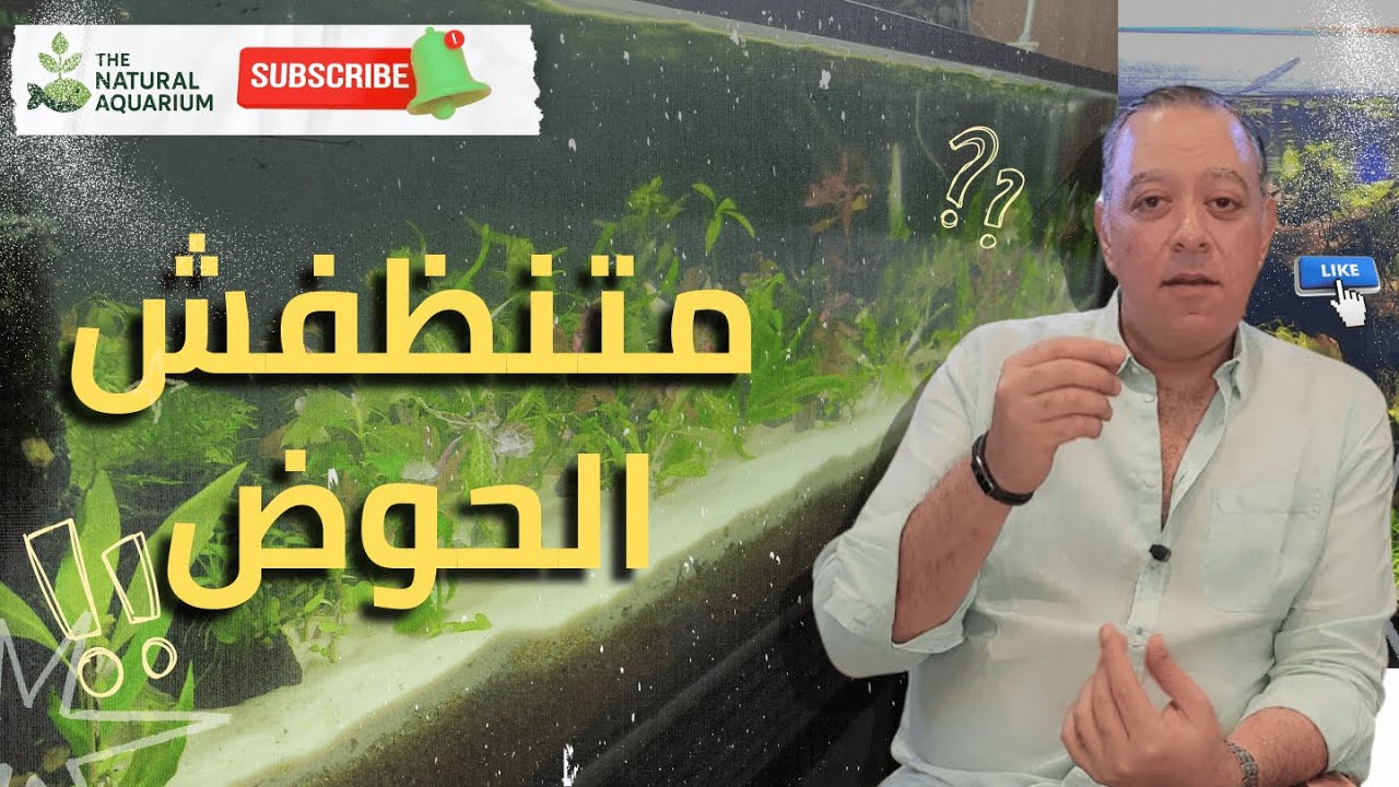 ليه حوضك بينهار بعد كل تنظيف؟ 💥 الحقيقة اللي محدش بيقولها !!