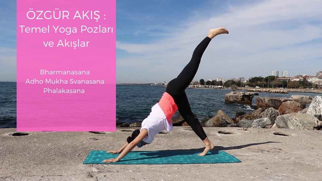 TEMEL YOGA POZLARI |  Bharmanasana, Adho Mukha Svanasana(Aşağı bakan köpek), Phalakasana(Plank)