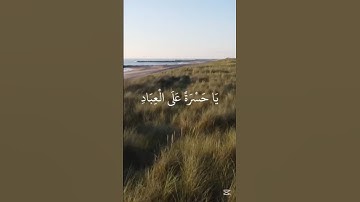 سورة يس #سورة #راحة_نفسية  #القران_الكريم #nature #اكسبلور  #القرآن_الكريم #لايك #القرآن #القران