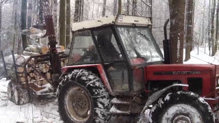 Zrywka W Lesie Tumiany 2 Zetor W Akcji