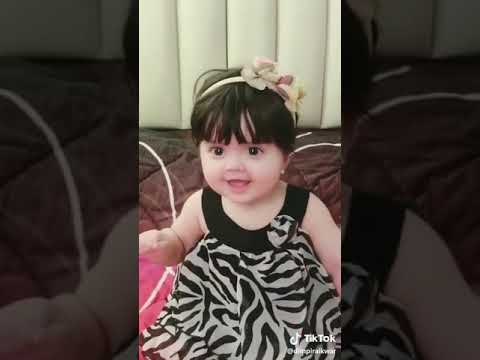 Tere Aage Piche Piche Sare Singar Hai Whatapp Video