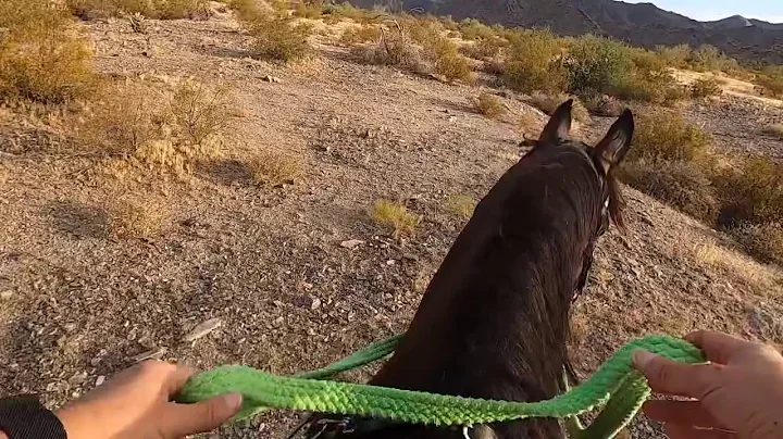 Aryas First GoPro Video