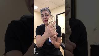 How Many Bones Are There In The Human Foot?