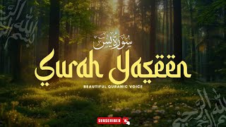 Surah Yaseen (Yasin) | Mishary Rashid Al-Afasy | Beautiful Quranic Voice #Quran