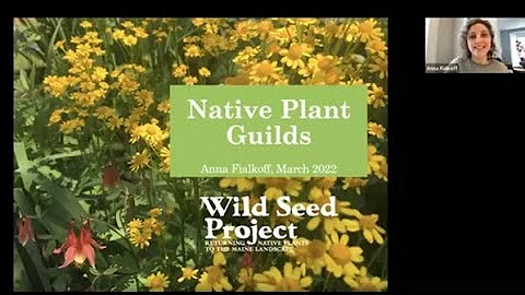 Lunch & Learn: Native Plant Guilds with Anna Fialk...