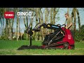 New dingo tx 1000 turbo