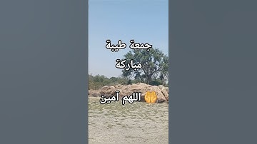 إنها يوم الجمعة فأكثروا من الصلاة على رسول الله وعطروها بتلاوة سورة الكهف #جمعة_مباركة #جمعة_طيبة