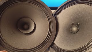 BG 20 full-range speaker with tweeter dome VS BG20 NO tweeter dome / DIY speaker build