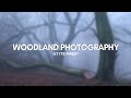 FOGGY WOODLAND PHOTOGRAPHY at its FINEST