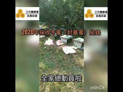 三代養蜂場【小農直售】│2020年冬蜜採收紀錄│封蓋熟成蜜(生蜂蜜)│更多資訊詳見FaceBook粉絲頁│台灣生產│100%純蜂蜜│0923-600-689、049-2244-218│