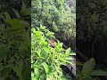 Hanging Garden Malabar hills Mumbai