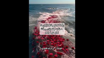 سورة النساء ٤٠ #قرآن #قرآن_كريم #قران #قران_كريم #قرأن #quran