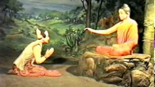 မဟာဗုဒၶဝင္ျပခန္း (၈)