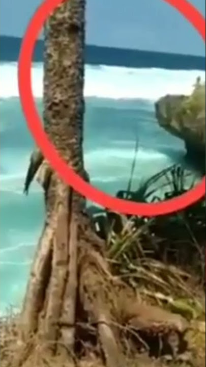 penampakan terjelas nyi roro kidul #shorts