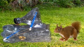 How To Make Squirrel Trap With Plastice Bottle  Trap Using Plastice Bottle 100% working method