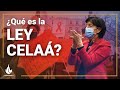 Claves sobre la Ley Celaá