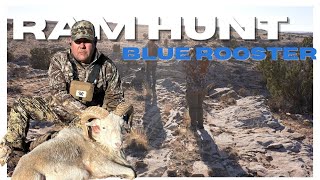 Ram Hunt, Nice shot across the canyon at the Blue Rooster Hunting Ranch