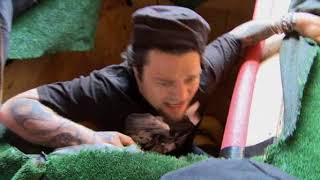 Jackass 3 - The Snake Pit