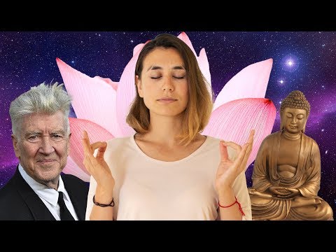 Video: Meditacija O Rezultatih