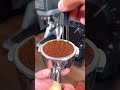 Some Espresso ASMR #shorts #coffee #espresso