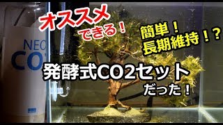 オススメ！発酵式CO2セット！長期維持50日？