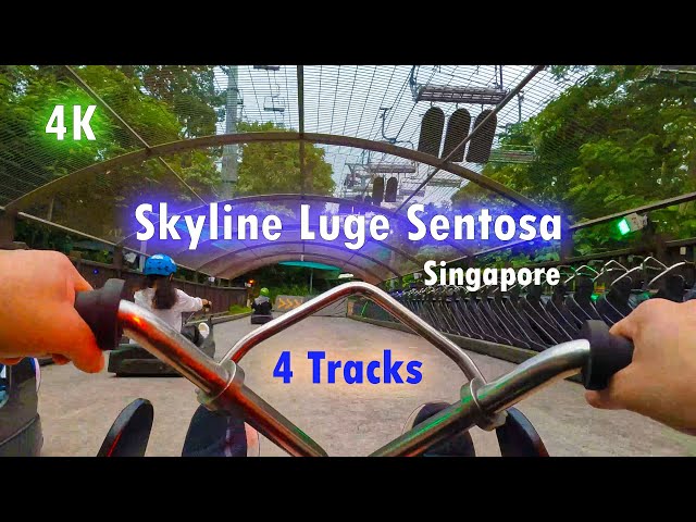 Luge Tracks  Skyline Luge Singapore