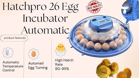 How to use hatchpro 26 egg incubator fully automatic with Automatic Water Refilling System