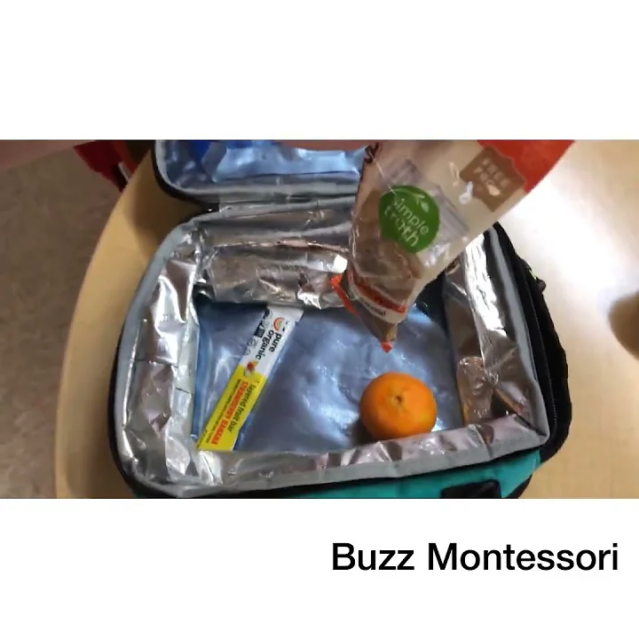 What do American kids eat for lunch at school--Montessori school 美国小学 午餐吃什么