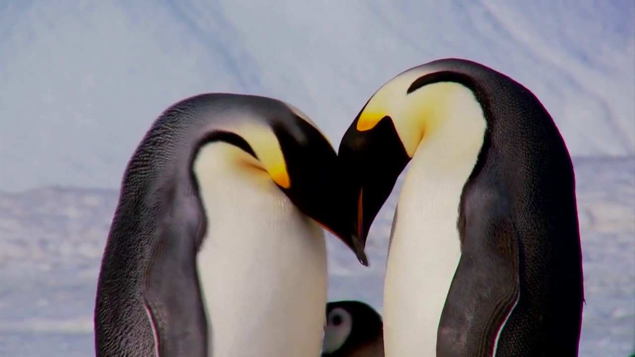 Standing in the Light   David Anthony Newberry
