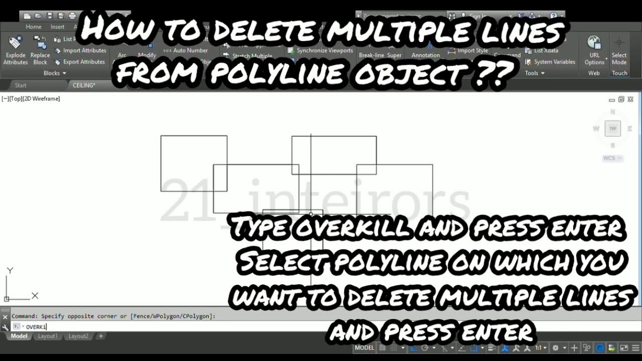 How to delete multiple lines on polyline object in Autocad in one click