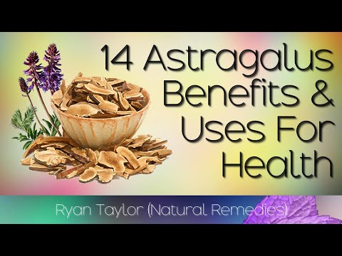 Astragalus: Benefits And Uses