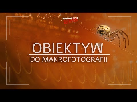 Wideo: Obiektywy Makro: Dlaczego Potrzebujesz Obiektywu Makro? Najlepsze Obiektywy Do Makrofotografii. Jak Je Wybrać I Czym Różnią Się Od Konwencjonalnych Soczewek?