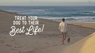 Beg U0026 Barker Natural Chicken Jerky Dog Treats