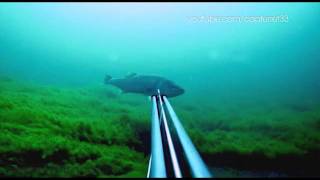 One Fish Spearfishing - Episode 1