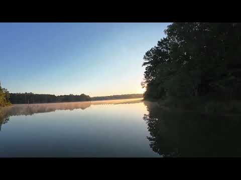 Face forward into meaning