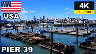 【4K】PIER39 San Francisco Walking Tour / 🇺🇸 USA