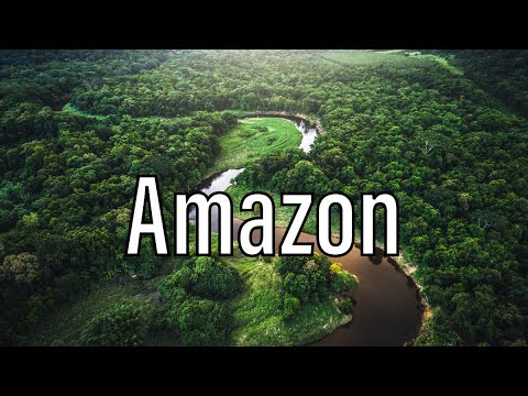 Video: Amazon bitkiləri və heyvanları