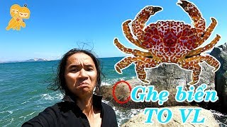 Phần 2 - Trải nghiệm THÚ TÍNH cắm trại gần biển - Xe Ôm Vlog
