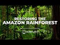 Planting trees to restore the amazon rainforest  one tree planted