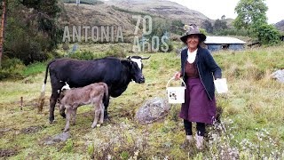 Mujer Andina que Vive Sola Nos Muestra su Día día | Ancash  Perú (Documental)