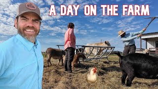 Our Daily Farm Life (Husband and Wife Tackle the Farm) by Cog Hill Family Farm 77,447 views 2 months ago 35 minutes