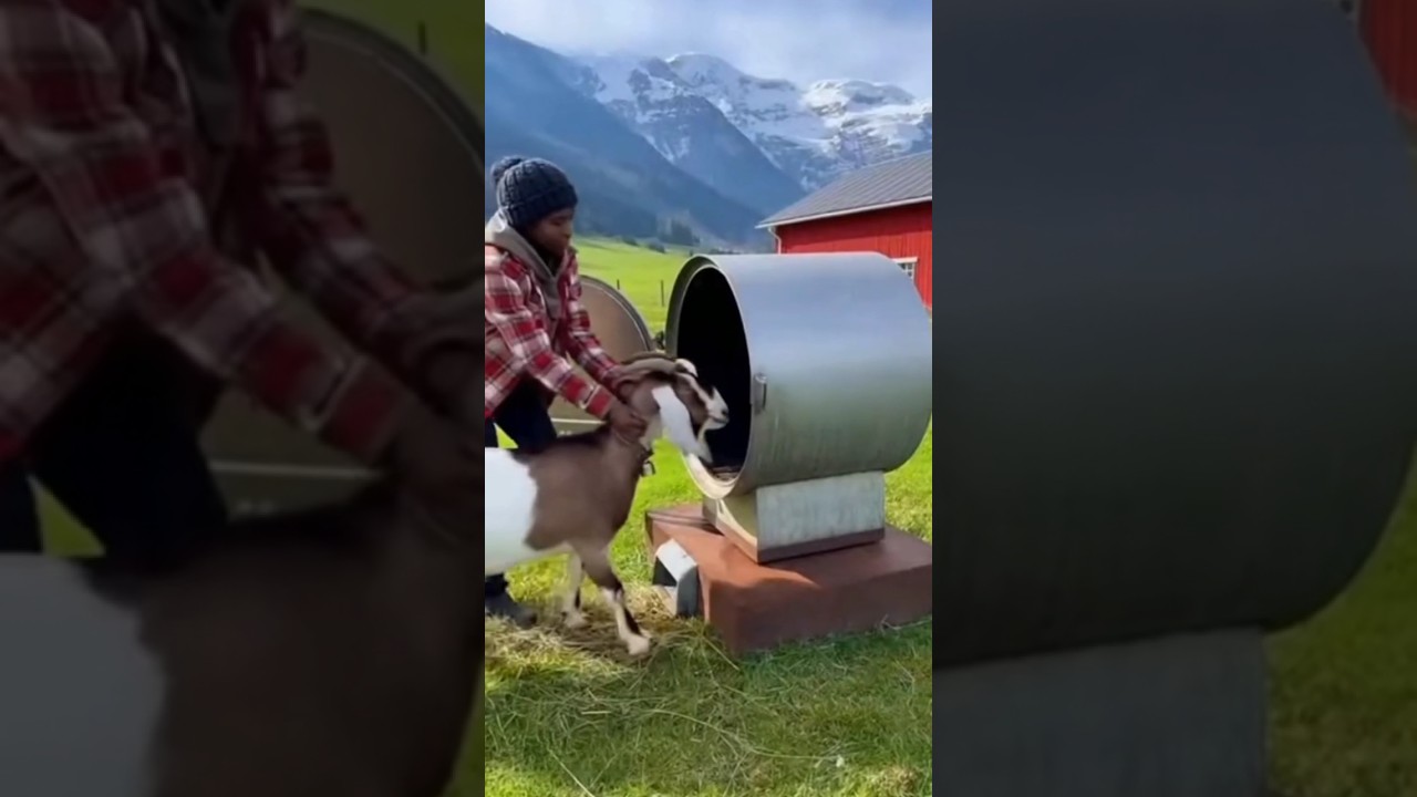 A smart farm owner🥶🤯