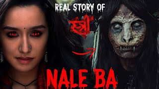 Stree Real Story - Nale Ba | Horror Story in Hindi @KhooniMonday