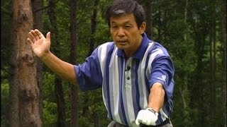 高松志門 他力開眼！ Golf lesson/ゴルフダイジェスト社