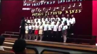 Contestant No. 11B21 Blm Cantata 2014